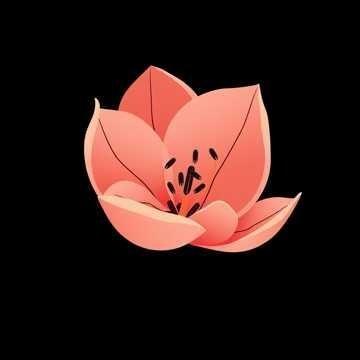 茶花开了，该回家了