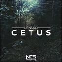 Cetus专辑