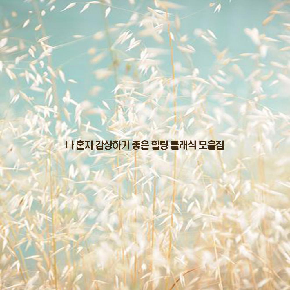 나 혼자 감상하기 좋은 힐링 클래식 모음집