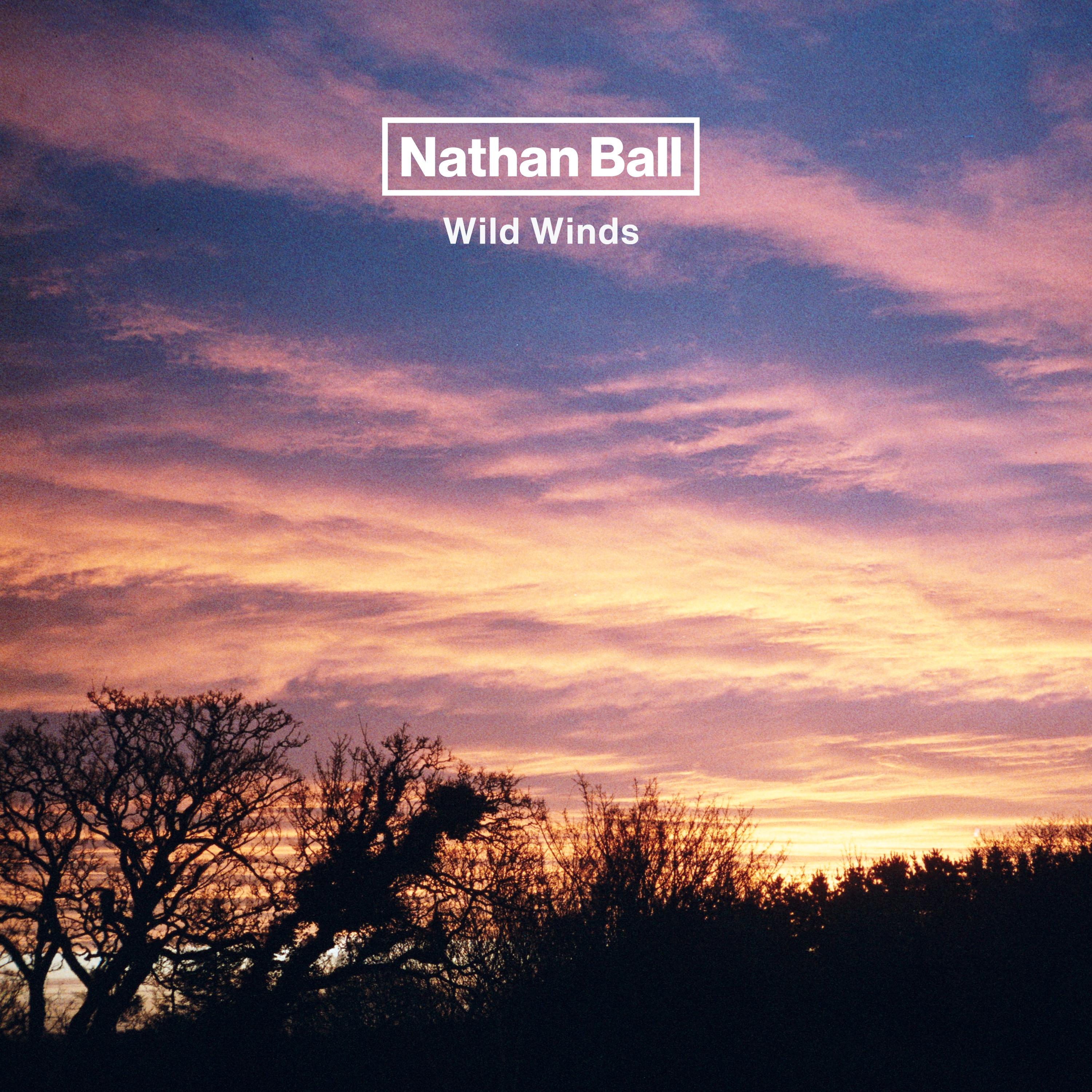 Wild Winds