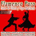 Flamenco Patrimonio De la Humanidad