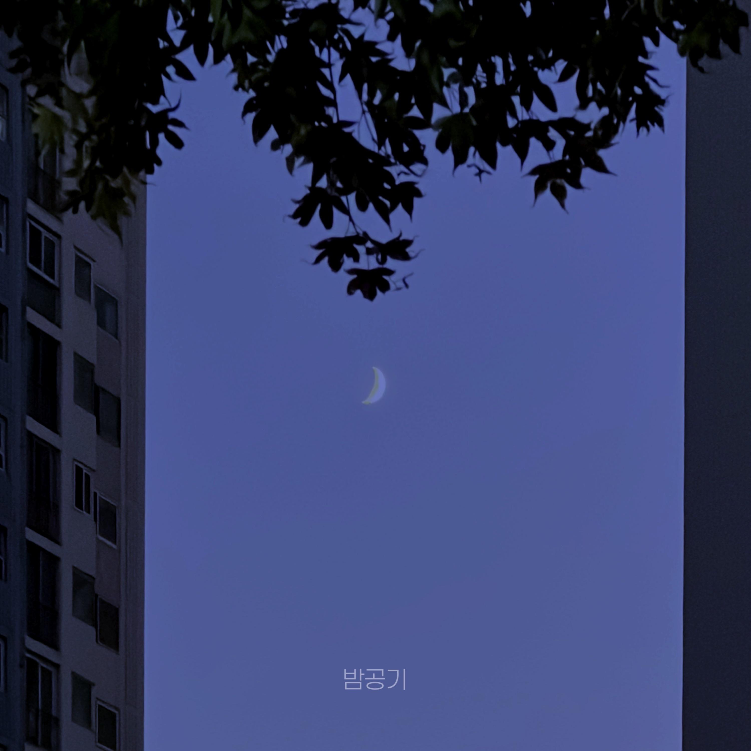 밤공기