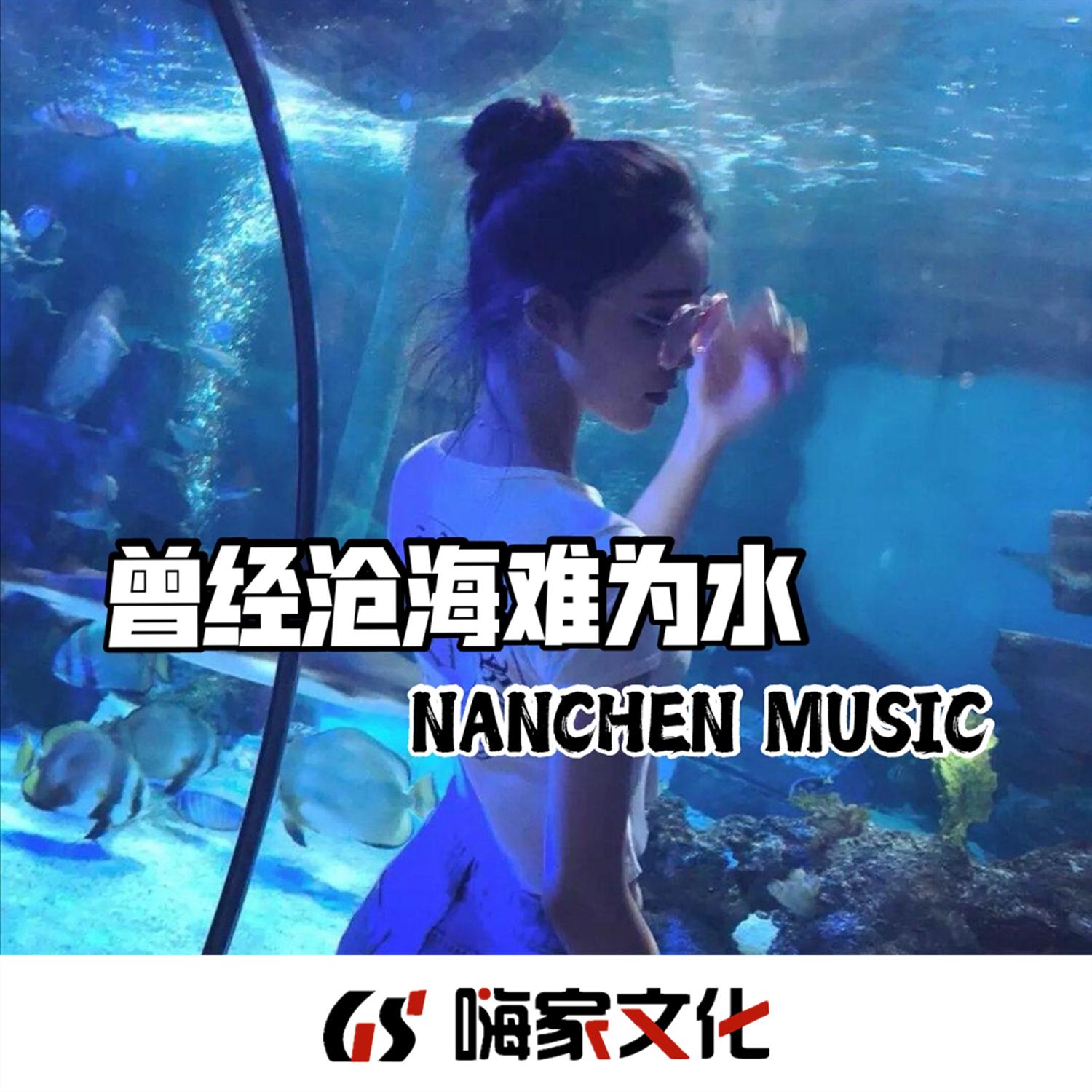 曾经沧海难为水