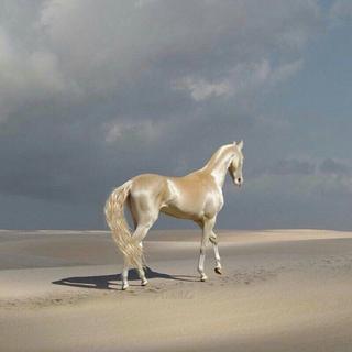 【民谣】|诗意的世界