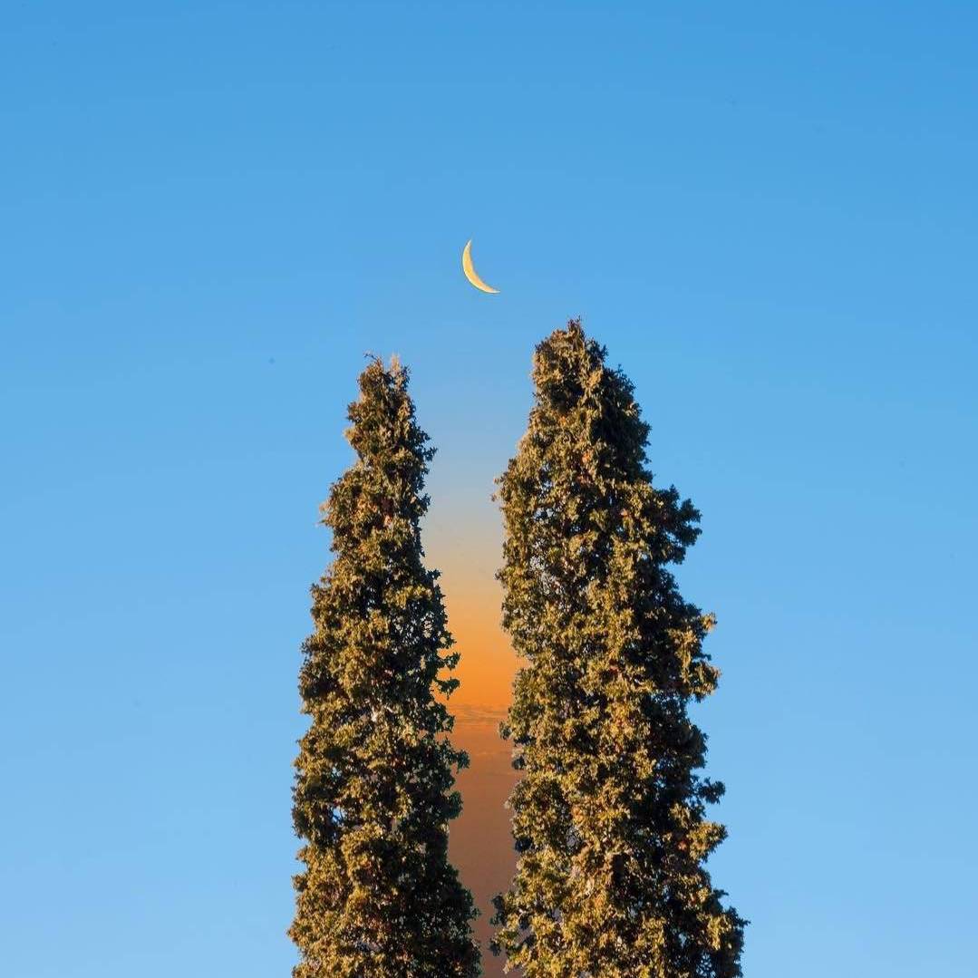 孤 星 落 地