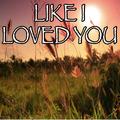 Like I Loved You - Tribute to Brett Young