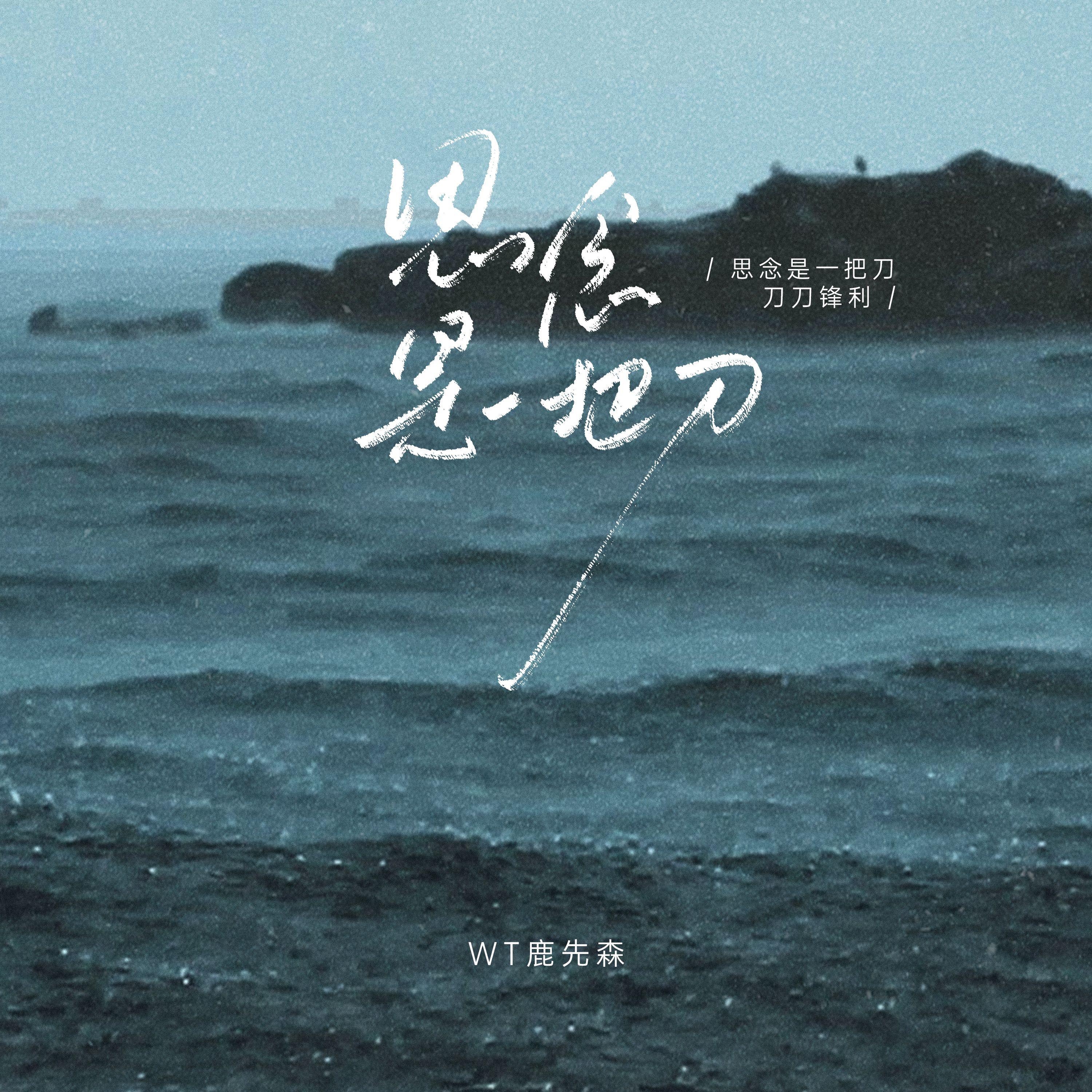 WT鹿先森 - 思念是一把刀(FY鱼,DJPowerX,释怀 2025Remix)