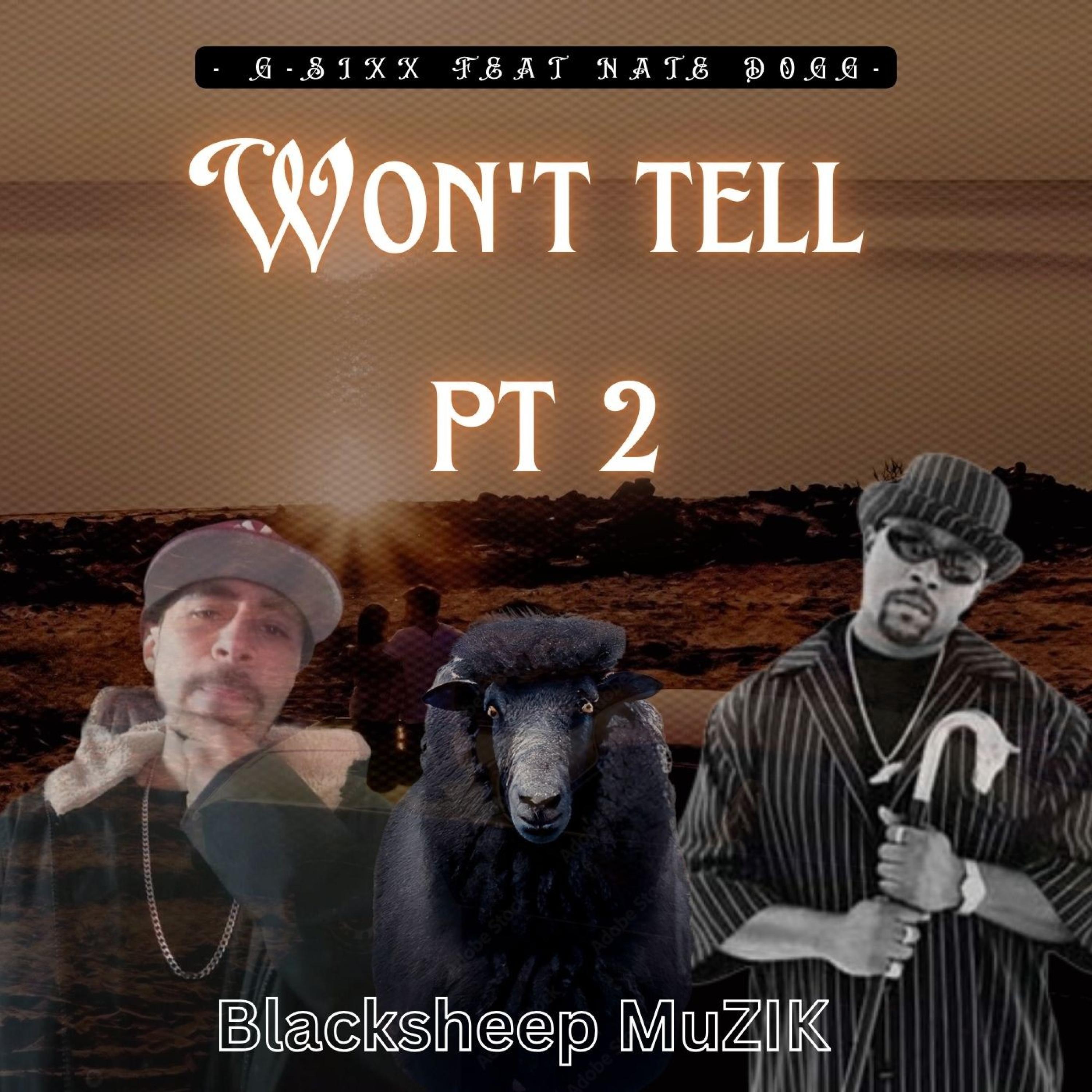 Wont Tell 2 (feat. Nate Dogg)