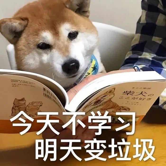 【励志歌单】高三狗的逆风翻盘时刻
