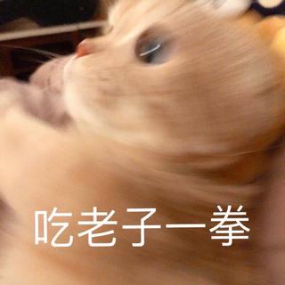 听到这些歌你是否也在想一个人?