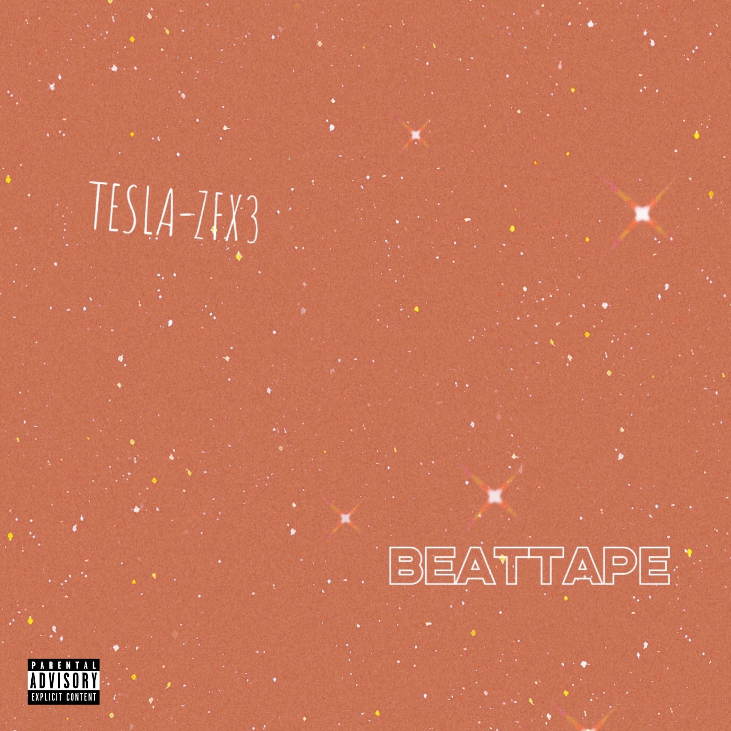 TESLA'S BEAT TAPE 2020-2021