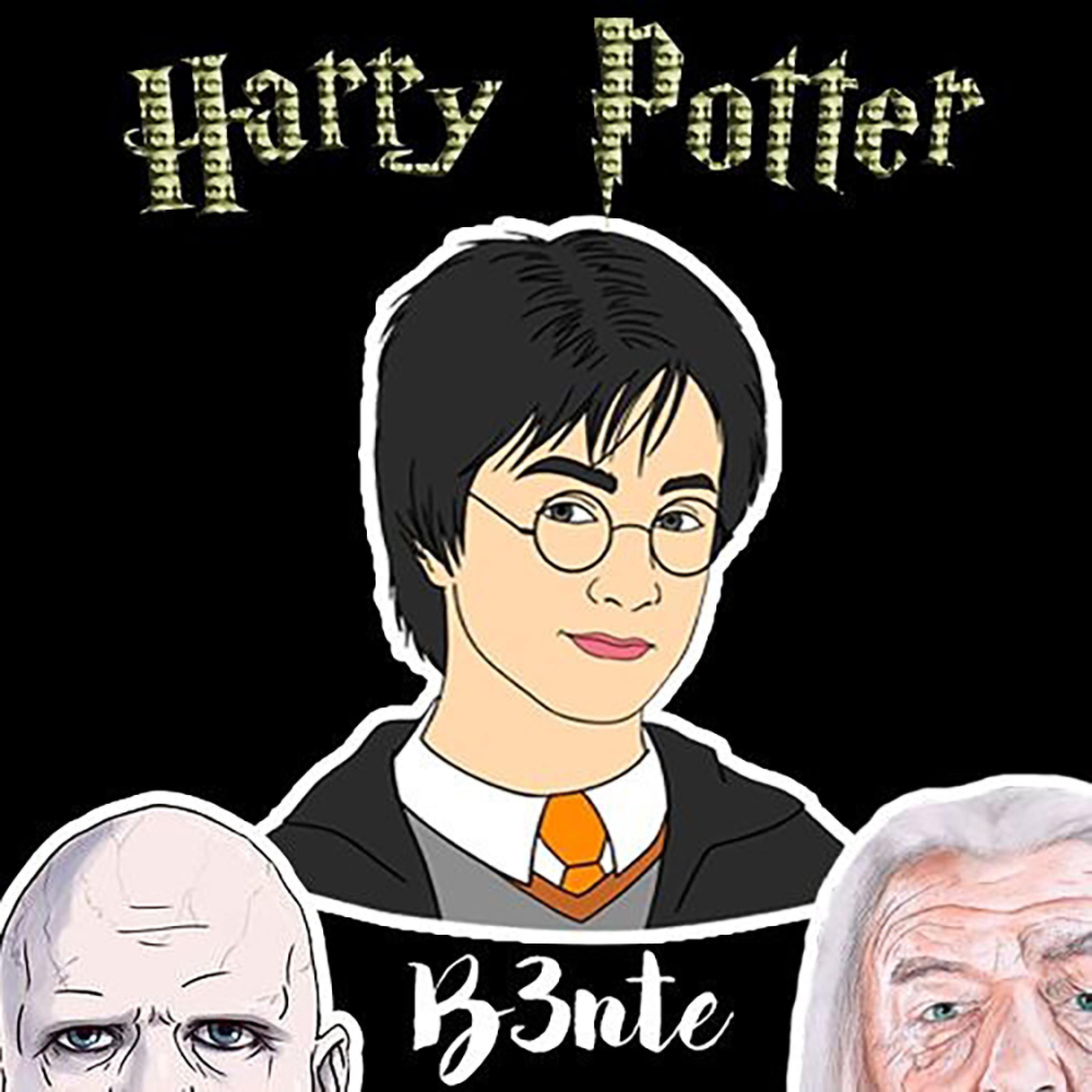 Harry Potter Bounce