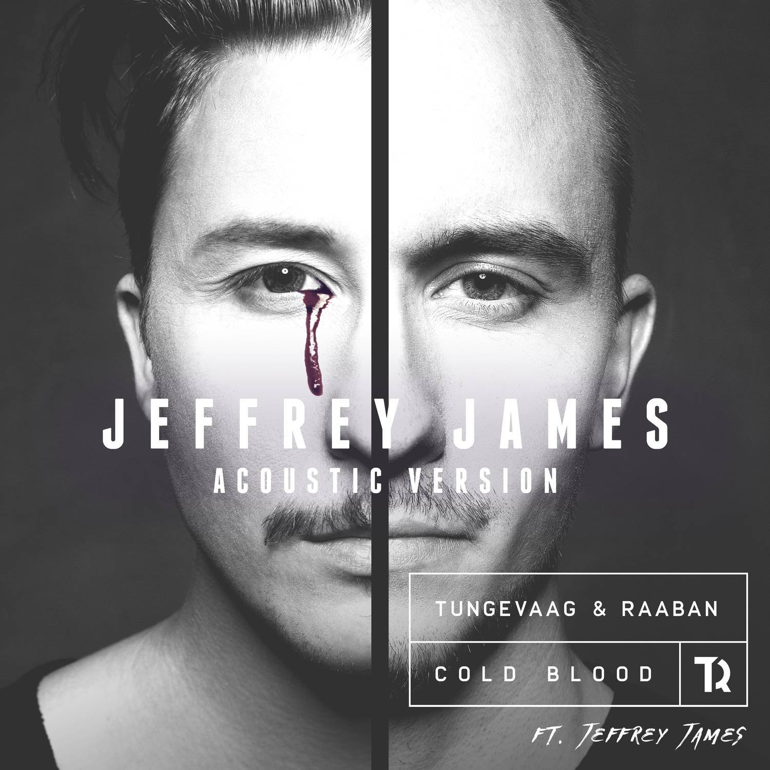 Cold Blood (Jeffrey James Acoustic Version)专辑