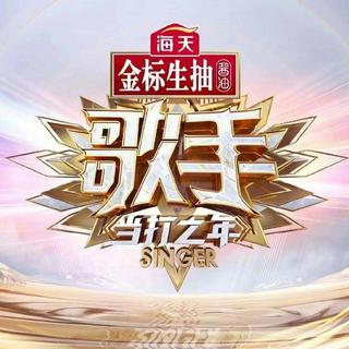歌手当打之年