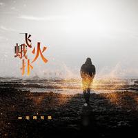 飞蛾扑火 (原版立体声)