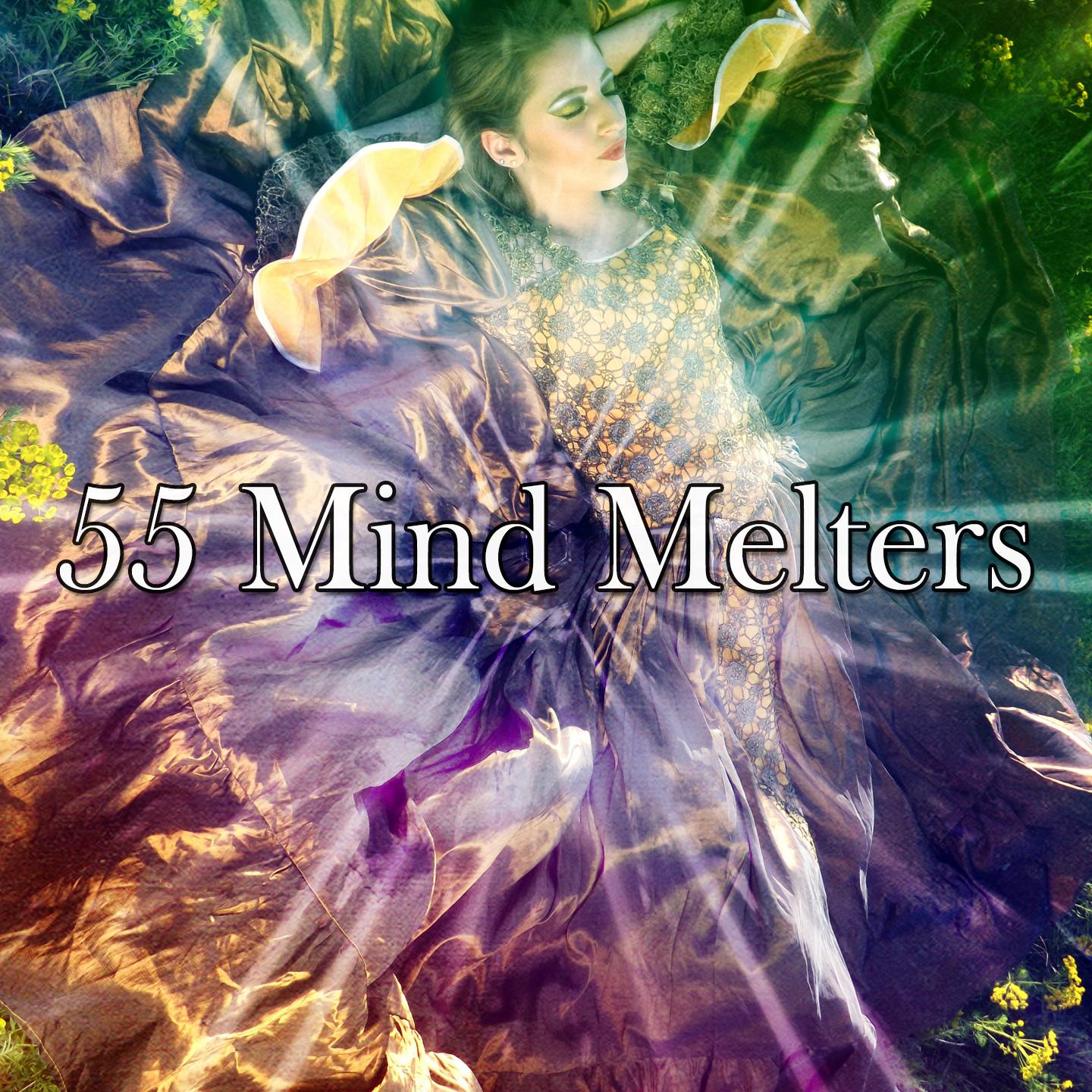 55 Mind Melters专辑