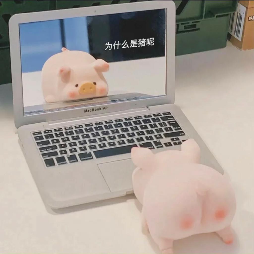 “是心心念念的Summer呀”