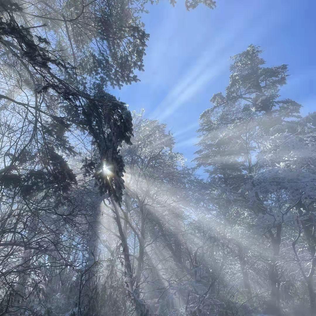 理想高台
