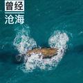 曾经沧海