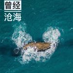 曾经沧海专辑