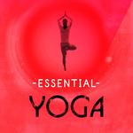 Essential Yoga专辑