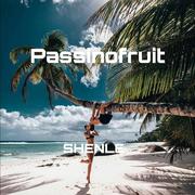 Drake-Passinofruit（SHENLE remix）