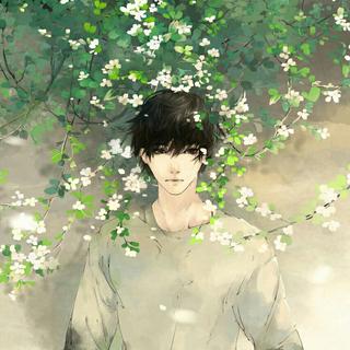 「遇·夏」少年发上花，醉倒呀