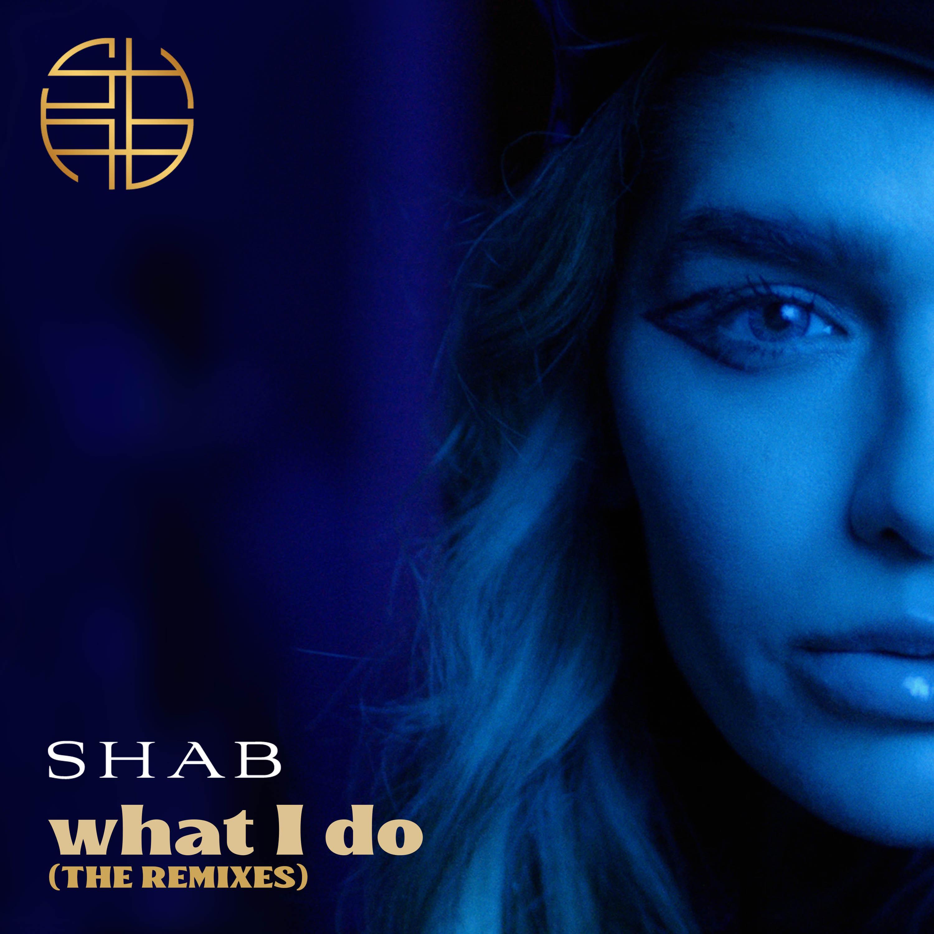 What I Do (The Remixes)