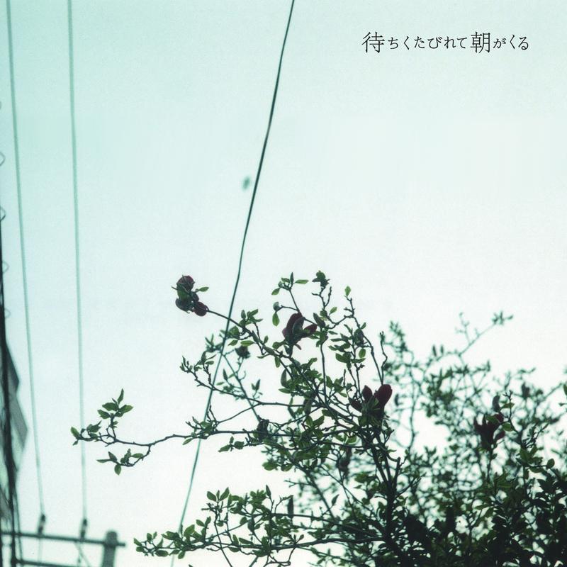 待ちくたびれて朝がくる