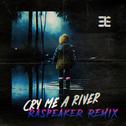 Cry Me A River (RaSpeakeR Remix)专辑