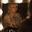Kesha_EDM