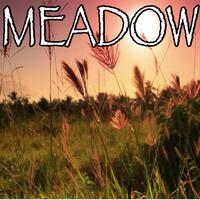 Meadow - Stone Temple Pilots (instrumental Version)