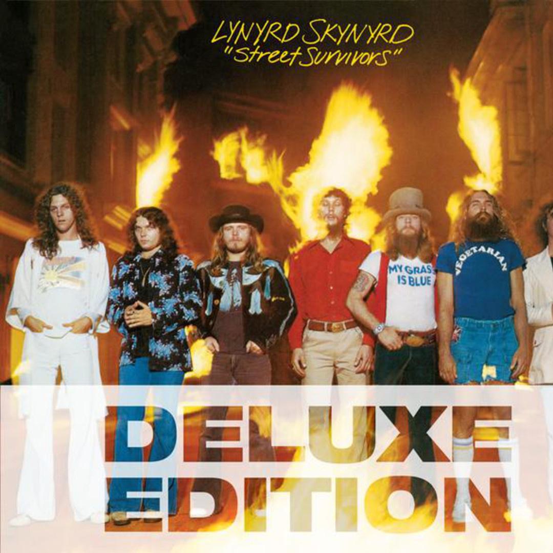 honky tonk night time man lynyrd skynyrd 单曲 网易云音乐