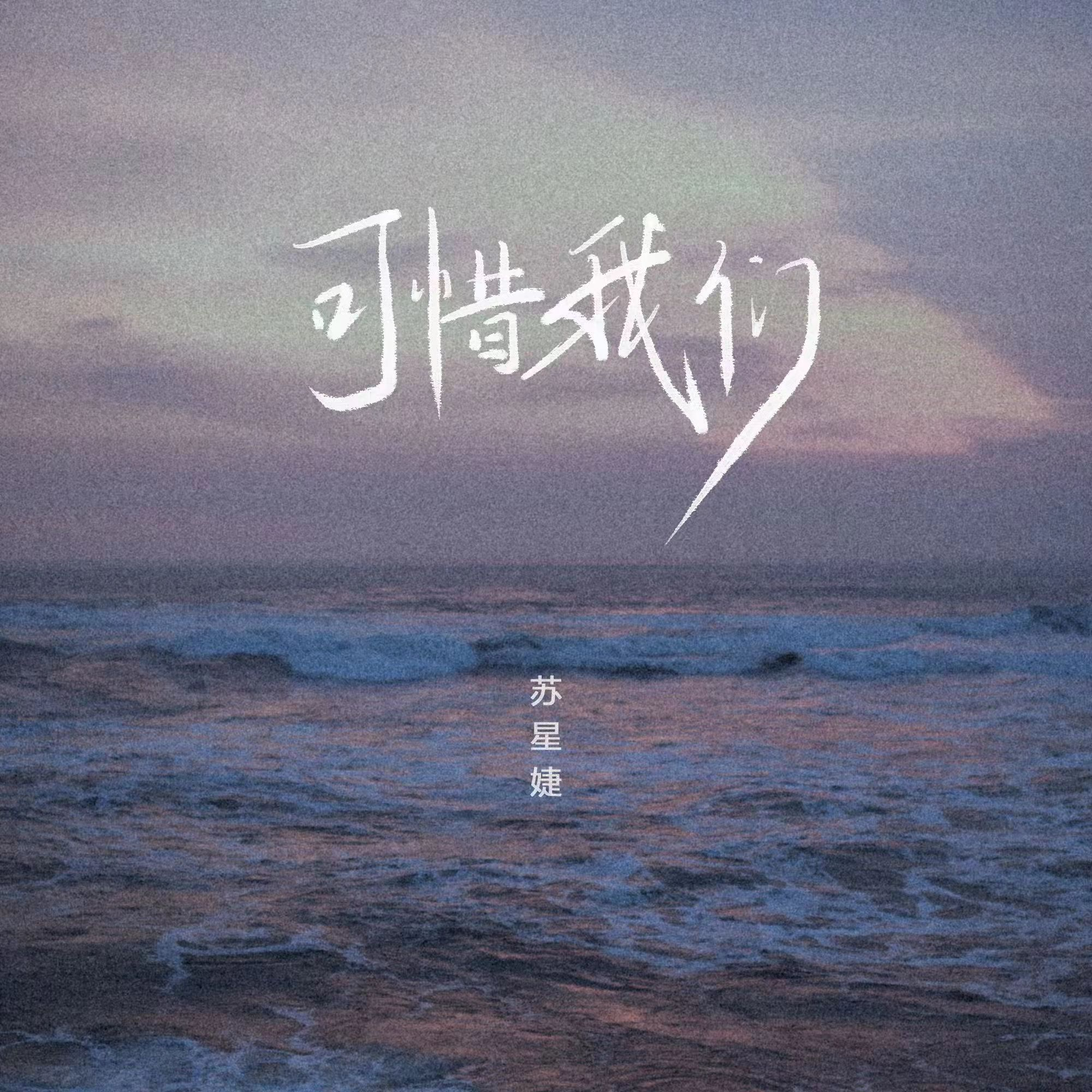 苏星婕 - 可惜我们