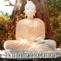 70 Meditative State Cleansers专辑