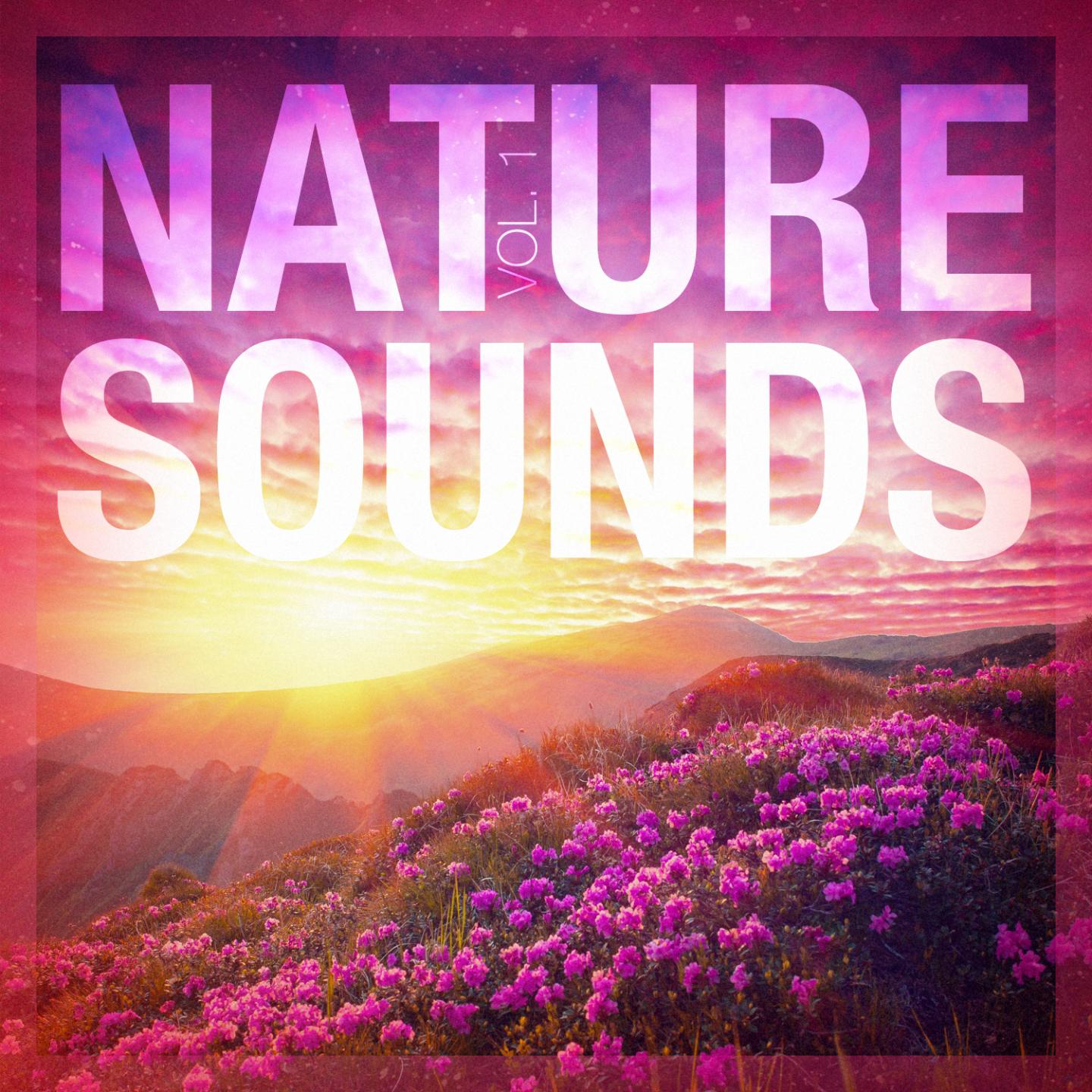 Rest & Relax Nature Sounds Artists - Sounds from a field: Grasshoppers, Crows and Insects