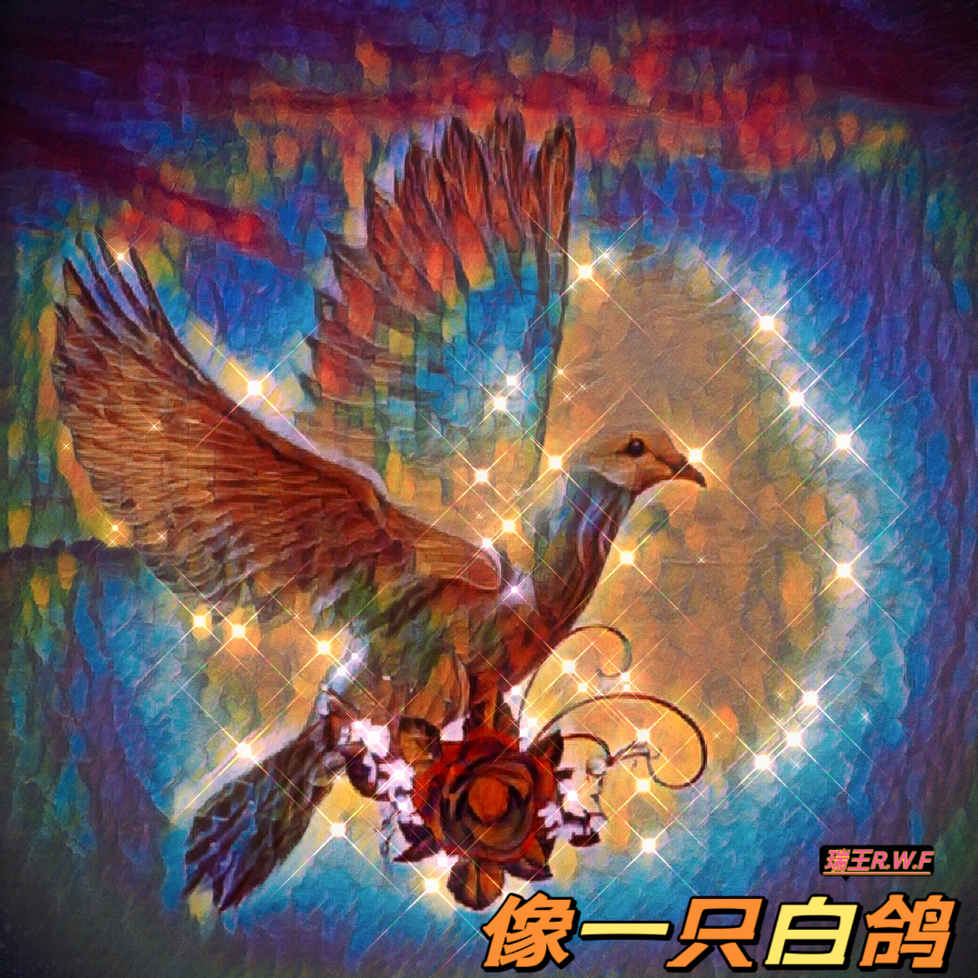 像一只白鸽