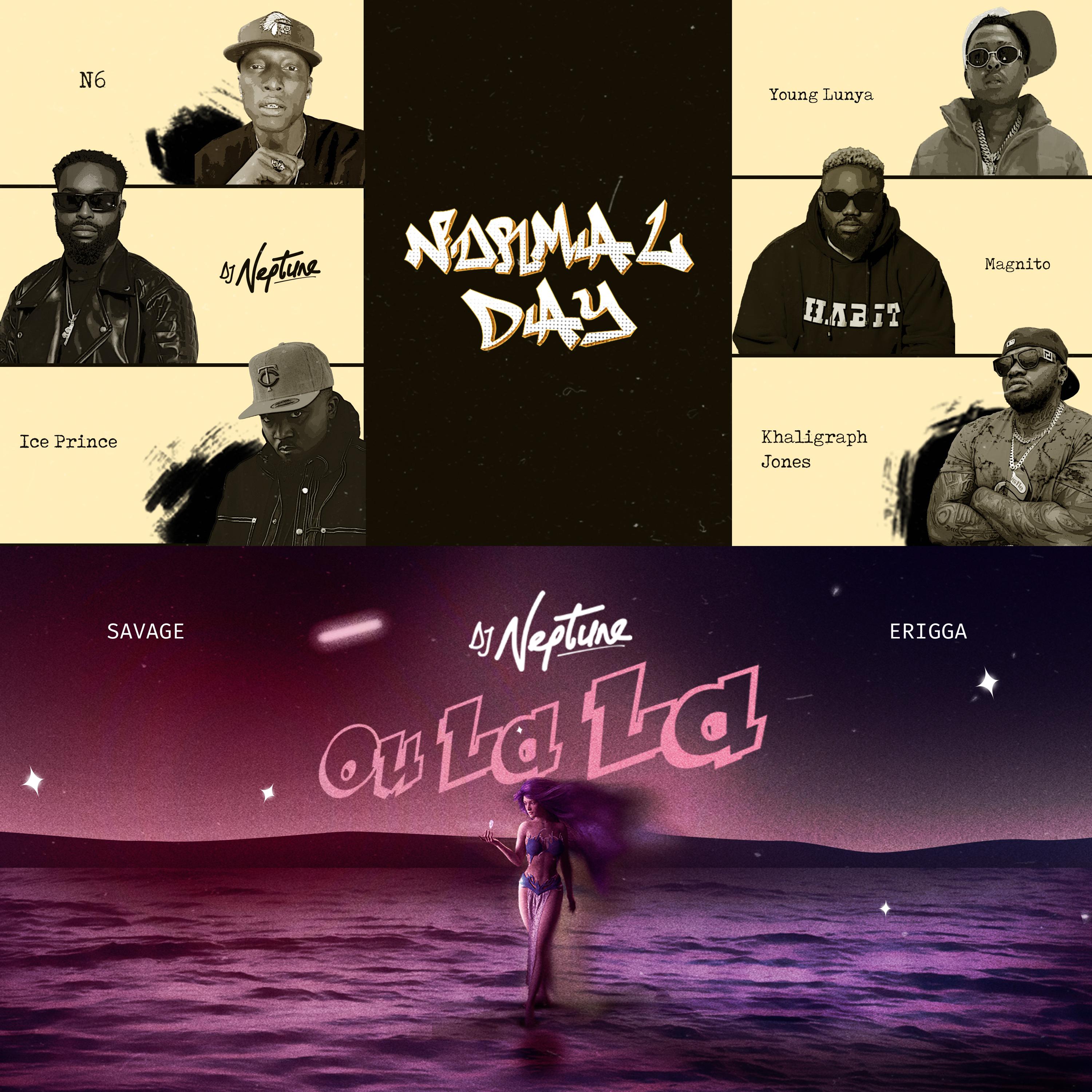 DJ Neptune - Normal Day