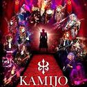 LA VIE EN ROSE KAMIJO -20th ANNIVERSARY BEST - Grand Finale ZEPP DiverCity Tokyo专辑