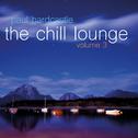 The Chill Lounge, Vol. 3专辑