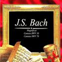 J.S. Bach专辑