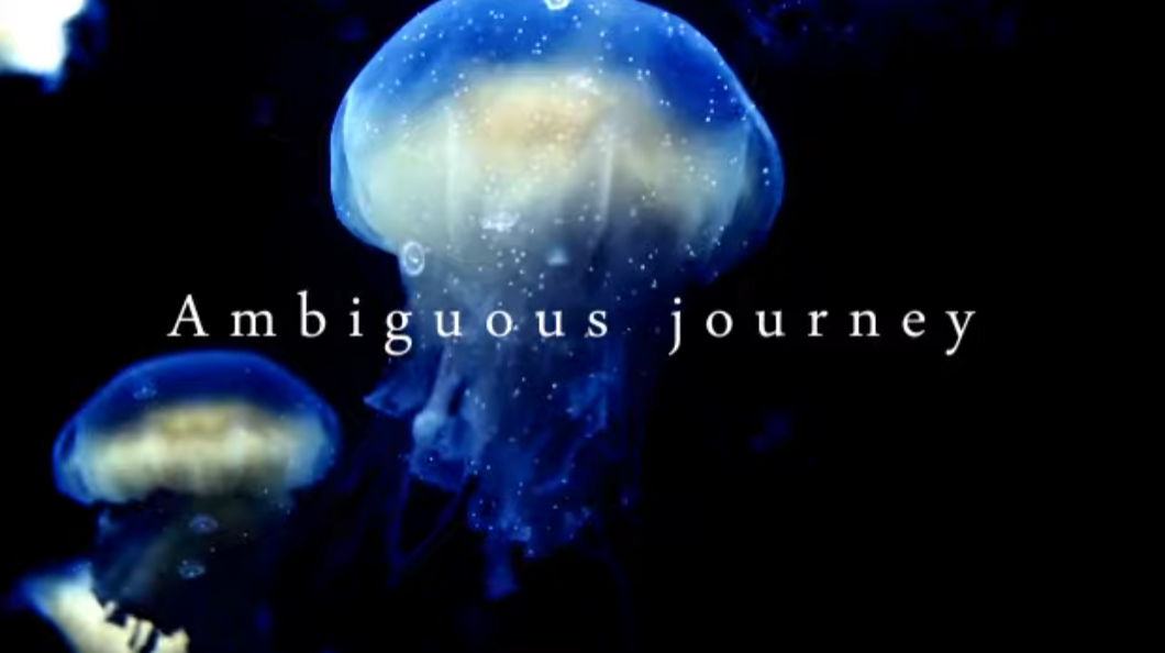 Ambiguous Journey