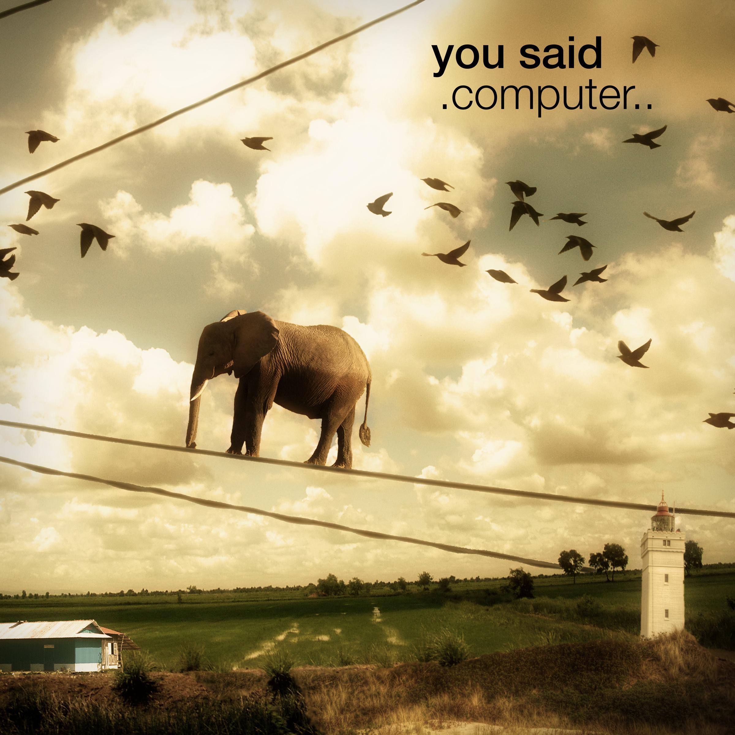 You Said