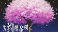 失约樱花树下专辑