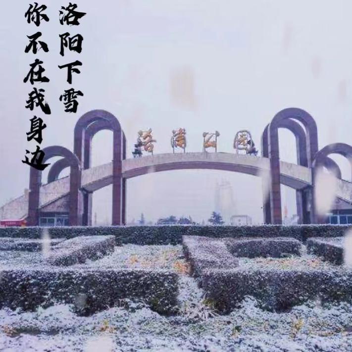 洛阳下雪你不在我身边