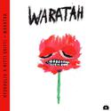 Waratah