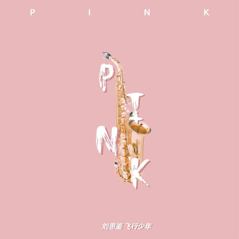 PINK专辑