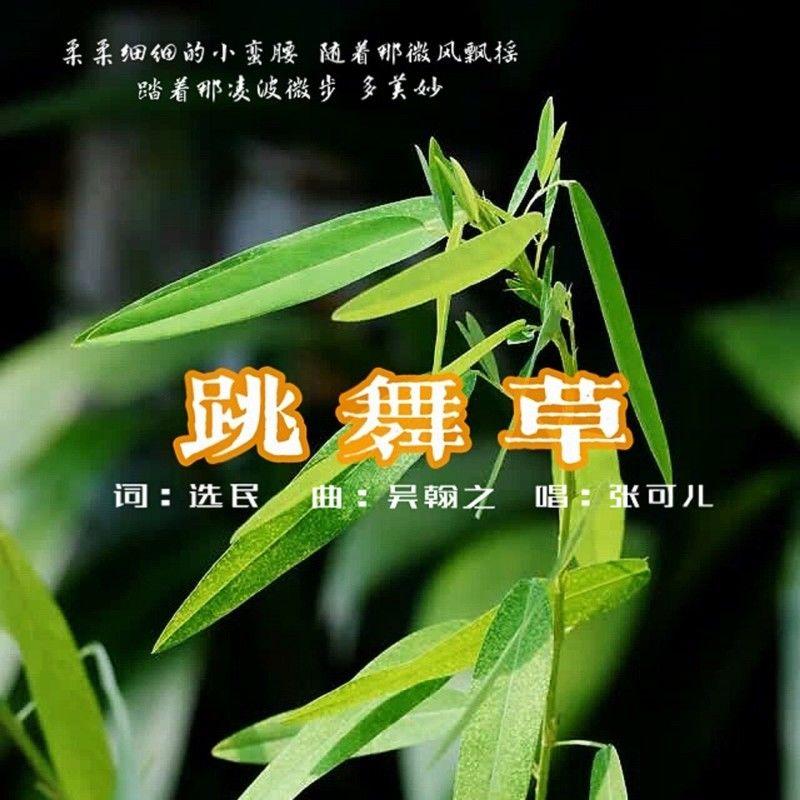 跳舞草