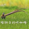 接翎子的坏咖喱