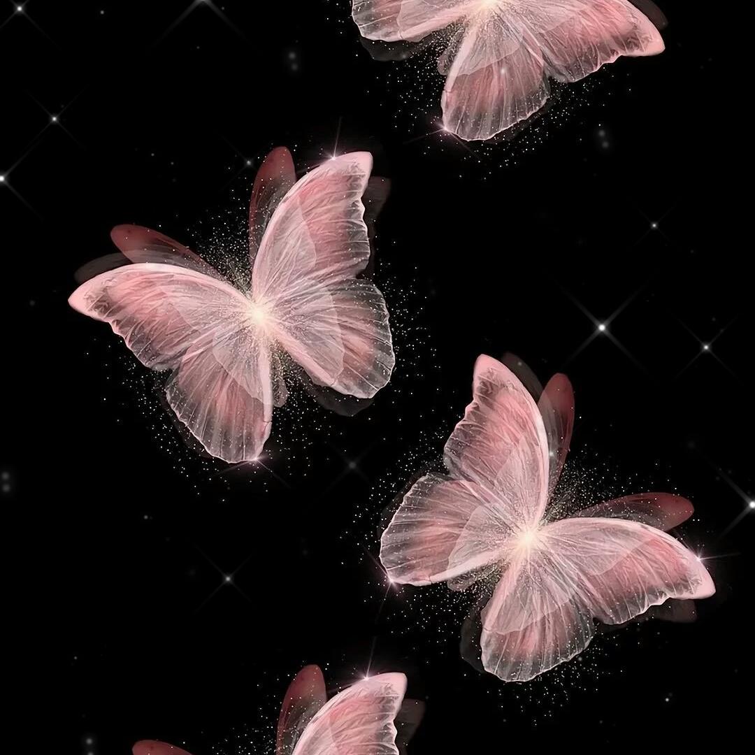 潮汐~六月的夏季清凉